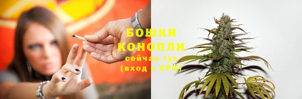 спайс Нея